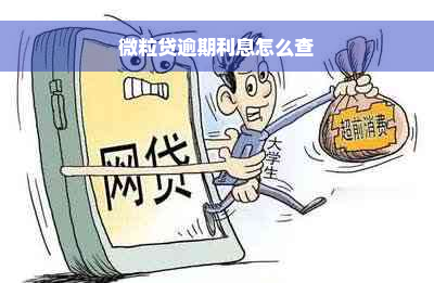 微粒贷逾期利息怎么查