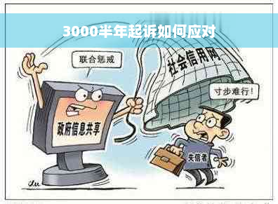 3000半年起诉如何应对