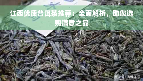 江西优质普洱茶推荐：全面解析，助您选购满意之品