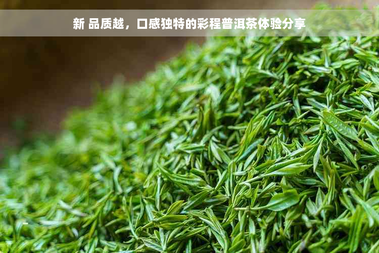 新 品质越，口感独特的彩程普洱茶体验分享