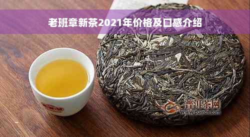 老班章新茶2021年价格及口感介绍