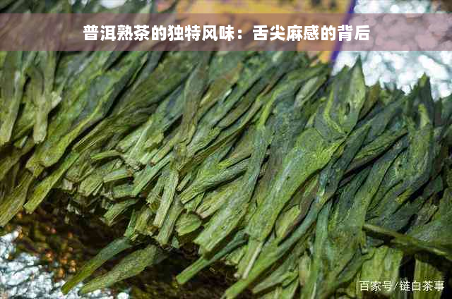 普洱熟茶的独特风味：舌尖麻感的背后