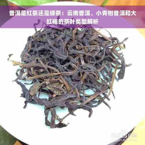 普洱是红茶还是绿茶：云南普洱、小青柑普洱和大红袍的茶叶类型解析