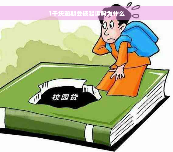 1千块逾期会被起诉吗为什么