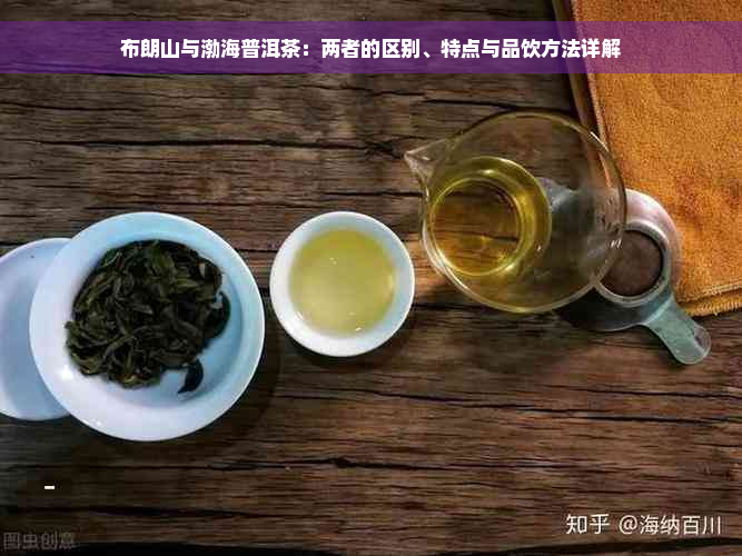 布朗山与渤海普洱茶：两者的区别、特点与品饮方法详解