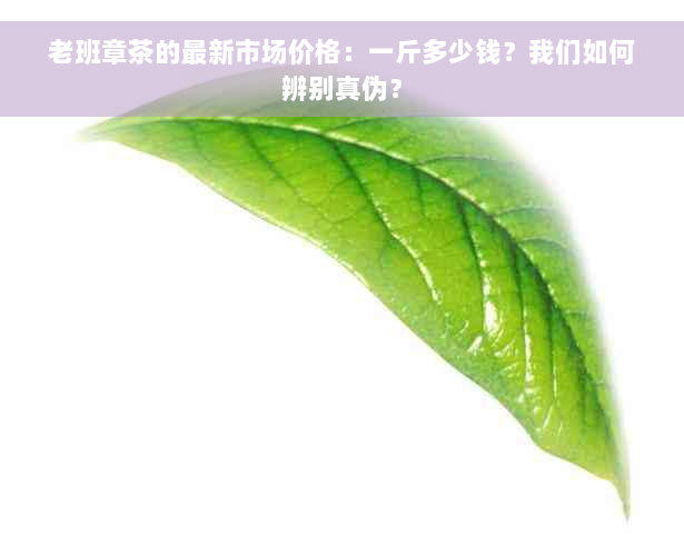 老班章茶的最新市场价格：一斤多少钱？我们如何辨别真伪？