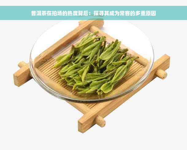 普洱茶在拍场的热度背后：探寻其成为常客的多重原因