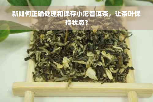 新如何正确处理和保存小沱普洱茶，让茶叶保持状态？