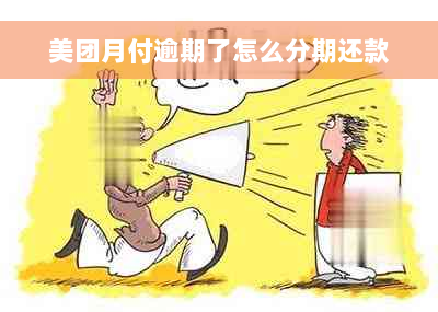 美团月付逾期了怎么分期还款