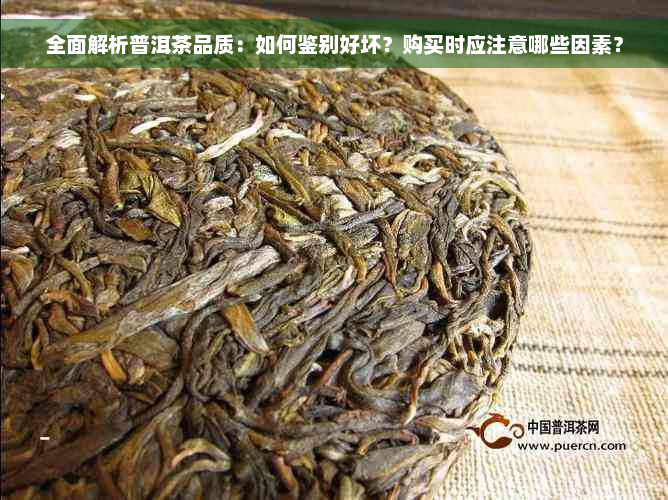 全面解析普洱茶品质：如何鉴别好坏？购买时应注意哪些因素？