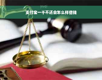 支付宝一千不还会怎么样借钱