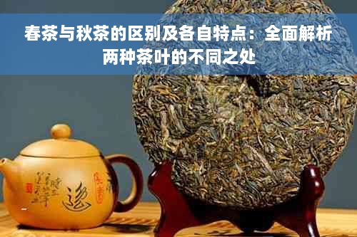 春茶与秋茶的区别及各自特点：全面解析两种茶叶的不同之处