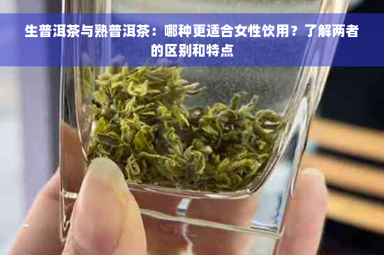 生普洱茶与熟普洱茶：哪种更适合女性饮用？了解两者的区别和特点