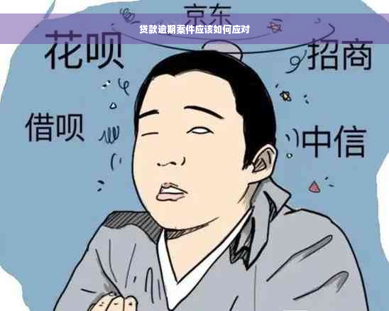 贷款逾期案件应该如何应对