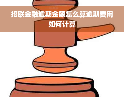 招联金融逾期金额怎么算逾期费用如何计算