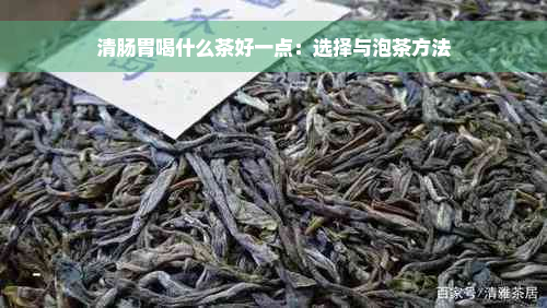 清肠胃喝什么茶好一点：选择与泡茶方法