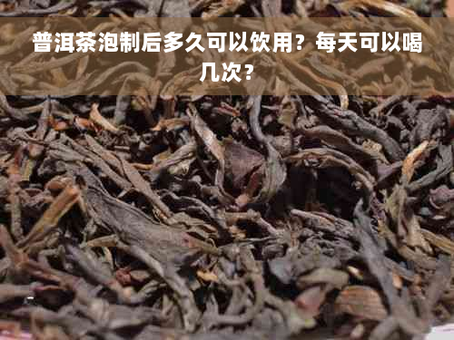 普洱茶泡制后多久可以饮用？每天可以喝几次？