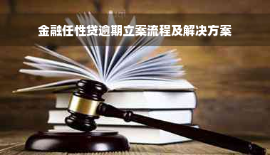 金融任性贷逾期立案流程及解决方案