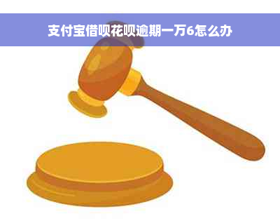 支付宝借呗花呗逾期一万6怎么办