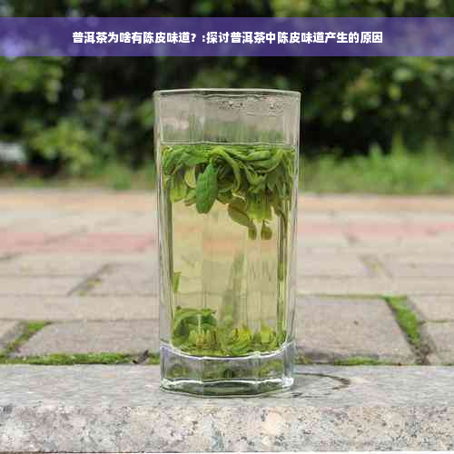 普洱茶为啥有陈皮味道？:探讨普洱茶中陈皮味道产生的原因