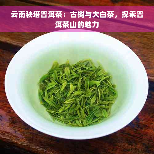 云南秧塔普洱茶：古树与大白茶，探索普洱茶山的魅力