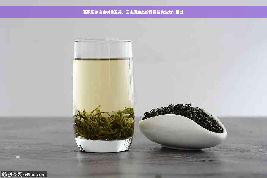 西双版纳海古树普洱茶：云南原生态珍品绿茶的魅力与品味