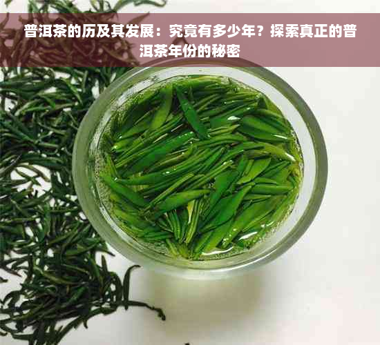 普洱茶的历及其发展：究竟有多少年？探索真正的普洱茶年份的秘密