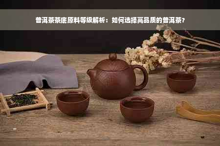 普洱茶茶底原料等级解析：如何选择高品质的普洱茶？