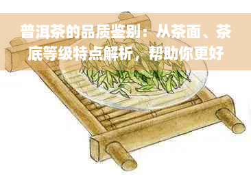 普洱茶的品质鉴别：从茶面、茶底等级特点解析，帮助你更好地了解普洱茶