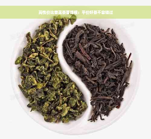 高性价比普洱茶菩提根：平价好茶不容错过