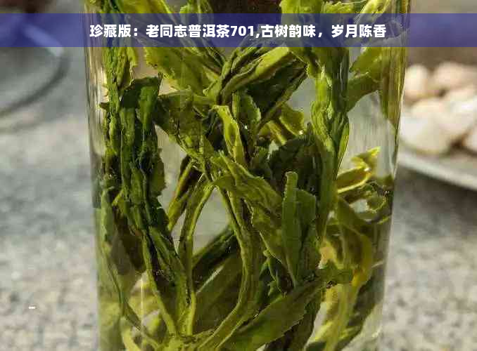 珍藏版：老同志普洱茶701,古树韵味，岁月陈香