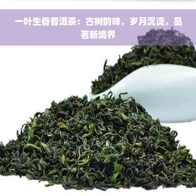 一叶生香普洱茶：古树韵味，岁月沉淀，品茗新境界