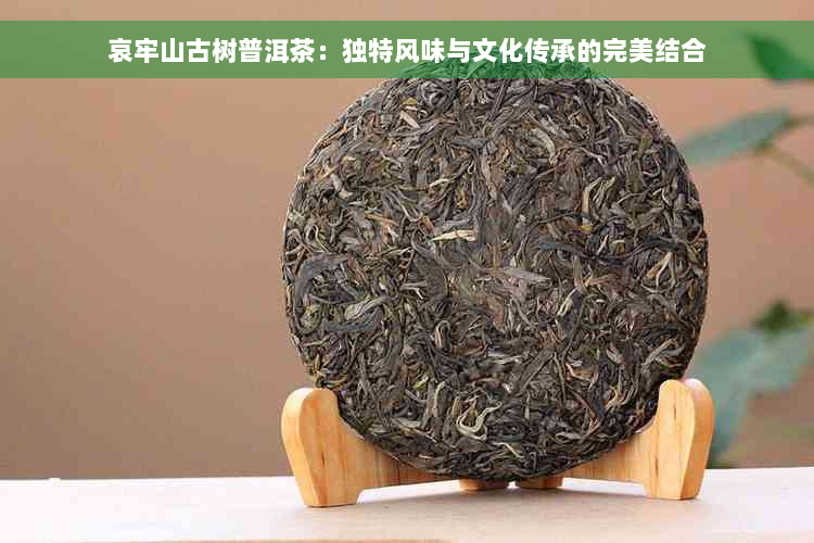 哀牢山古树普洱茶：独特风味与文化传承的完美结合