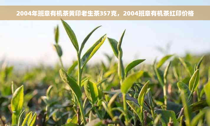 2004年班章有机茶黄印老生茶357克，2004班章有机茶红印价格