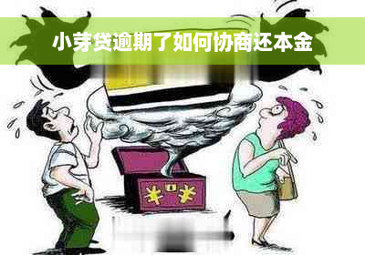 小芽贷逾期了如何协商还本金