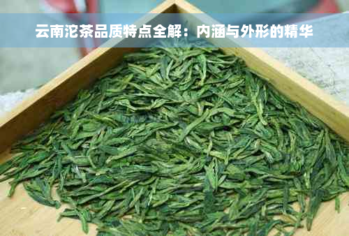 云南沱茶品质特点全解：内涵与外形的精华