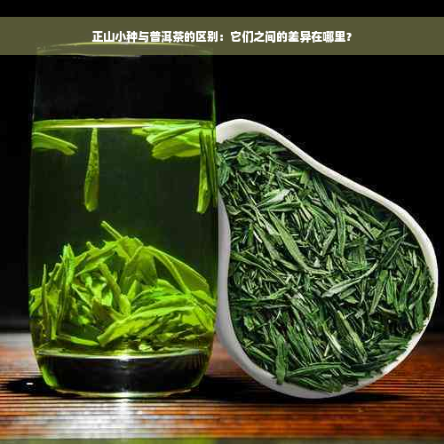 正山小种与普洱茶的区别：它们之间的差异在哪里？