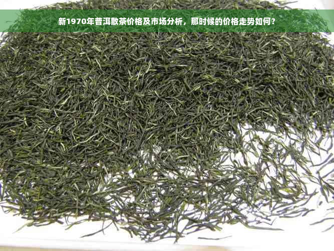 新1970年普洱散茶价格及市场分析，那时候的价格走势如何？