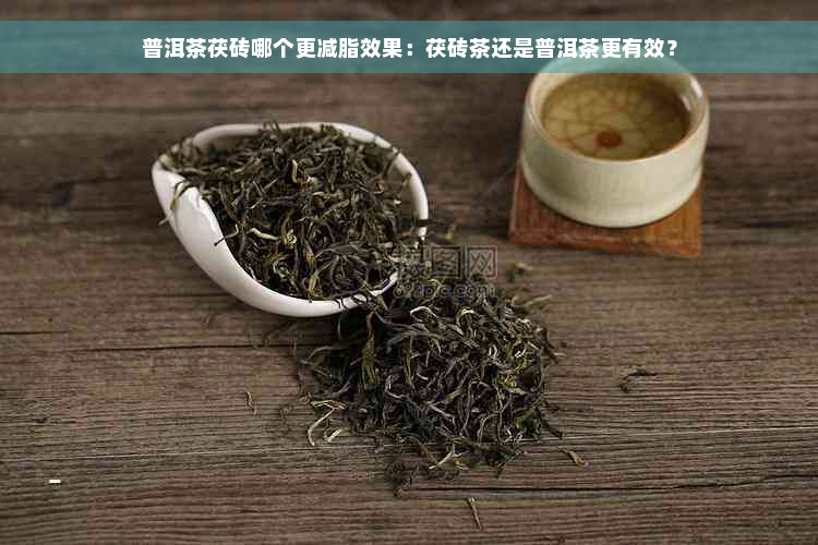 普洱茶茯砖哪个更减脂效果：茯砖茶还是普洱茶更有效？