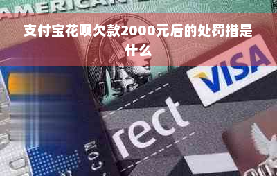 支付宝花呗欠款2000元后的处罚措是什么