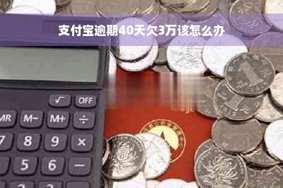 支付宝逾期40天欠3万该怎么办