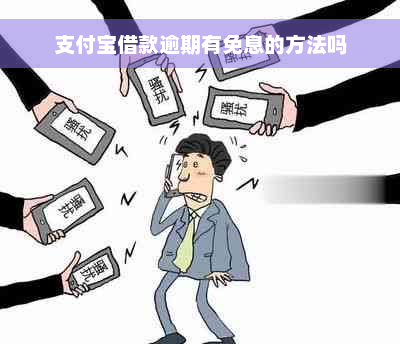 支付宝借款逾期有免息的方法吗