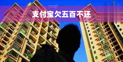 支付宝欠五百不还