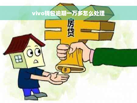 vivo钱包逾期一万多怎么处理