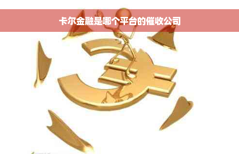 卡尔金融是哪个平台的催收公司