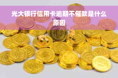 光大银行信用卡逾期不催款是什么原因