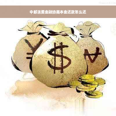 中邮消费金融协商本金还款怎么还