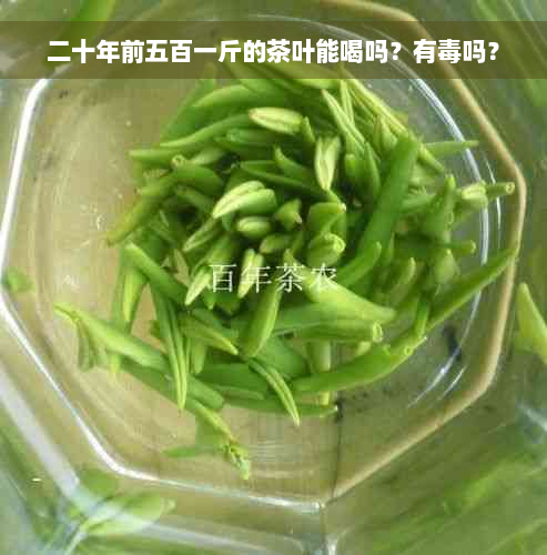 二十年前五百一斤的茶叶能喝吗？有毒吗？