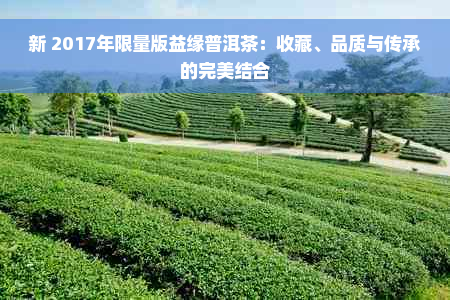 新 2017年限量版益缘普洱茶：收藏、品质与传承的完美结合