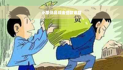 小象优品现金借款逾期